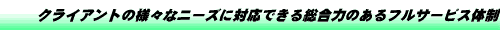 tT[rX̐
